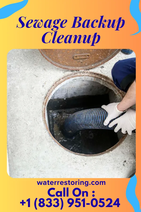 Sewage Backup Cleanup in Dowagiac, MI